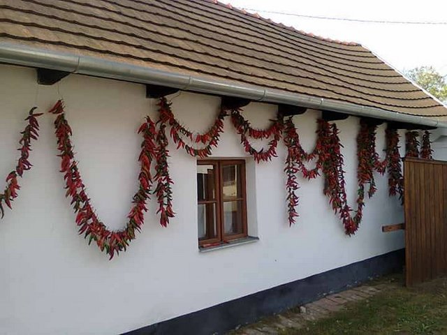 selyembojt kulturális napok 02